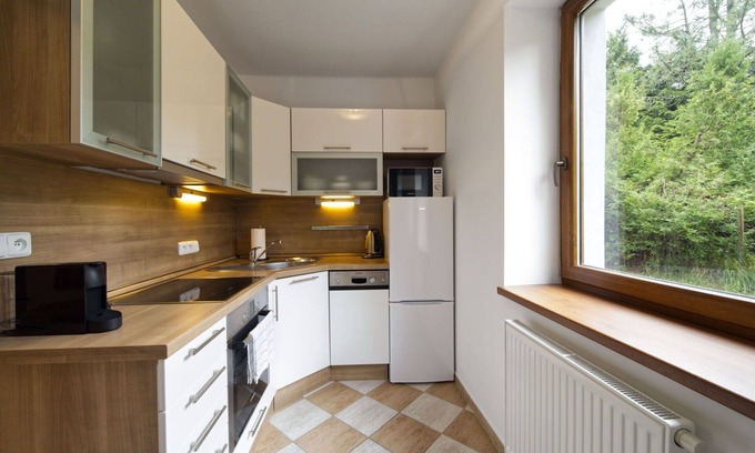Zelezna Ruda Apartment | Inviting Apartment for 4 with Kitchen and Spa Amenities