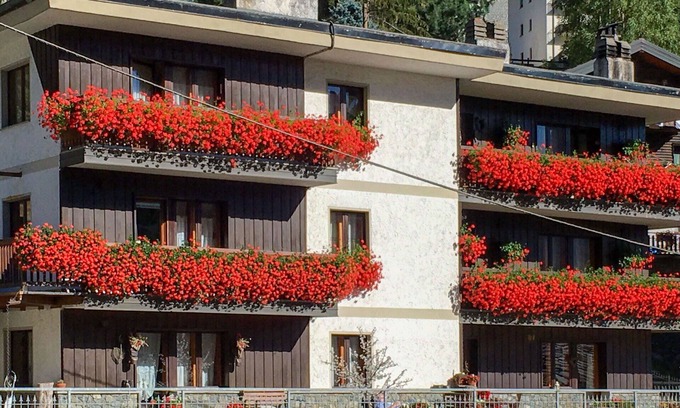 Valtournenche Apartment | Inviting Apartment for 4 with WIFI, Terrace, and Pets Welcome