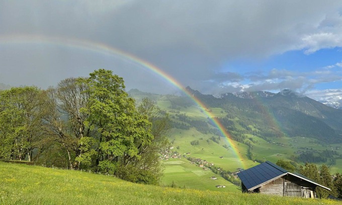 Zweisimmen Apartment | Lovely apartment for 3 people with WIFI, balcony and pets allowed
