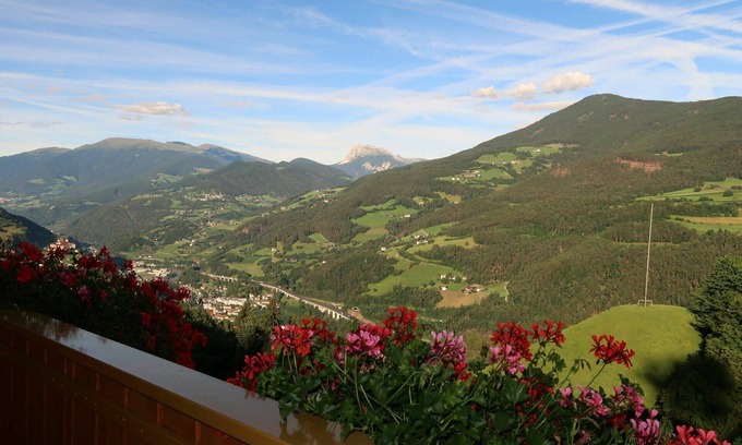 Albions Apartment | Cozy Apartment for 4 with Pool, Pets Welcome & Free WiFi