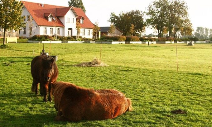 Stahlbrode House | Renovated Farmhouse Retreat Near Rügen Ferry with Ocean Views
