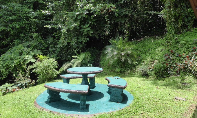 Arenal Bed & Breakfast | Unique Stay at Lucky Bug B & B - Guest Rated 9.8!