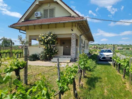 Villany Apartment | Top-Rated Lugas Apartman: Your Ideal Getaway