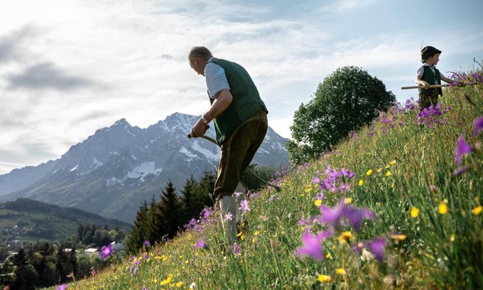 Donnersbach House | Discover Lutzmannhof: Family-Friendly Retreat with Kitchen