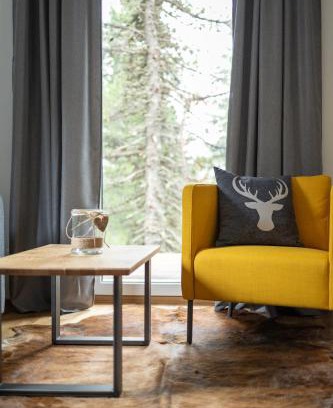Reichenau Ski Chalet | Top-Rated Turrach Chalet’s Grünsee with Hot Tub & Pet Friendly