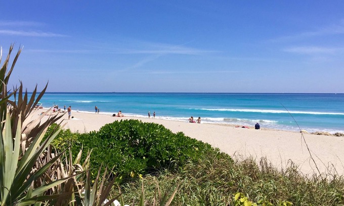 Sunshine Park House | Elegant Oceanfront Pool Home with 10/10 Guest Rating