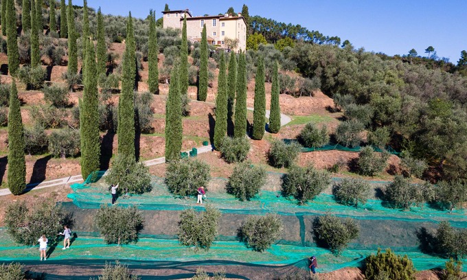 Cascine-La Croce Villa | Perfect 6-Bed Tuscan Villa with Pool Near Lucca & Pisa