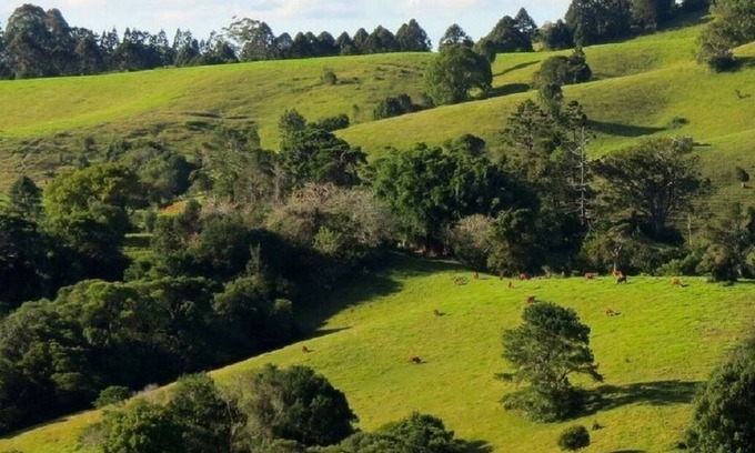 Montville Bed & Breakfast | Indulge in Harris: Premium Stay with Pool & Breakfast