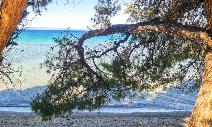 Elia Nikitis Apartment | Elegant Apartment in Akti Elias Sithonia with Spa & Breakfast