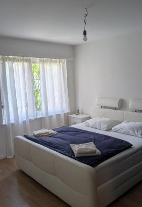 Allschwil Apartment | Luxury Apartment in very Good Location near Basel City