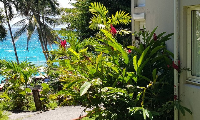 Pointe de la verdure Apartment | Oceanfront Apartment with Pool & Spa - Rated 10/10