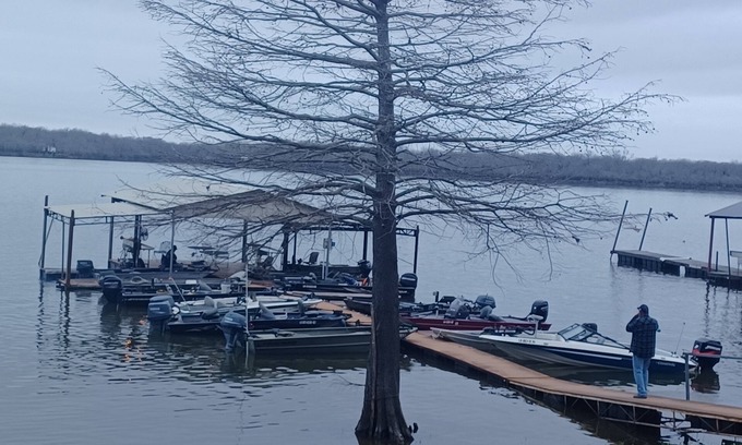 Acme House | Scenic Lakeview Cabin with Pet-Friendly Amenities