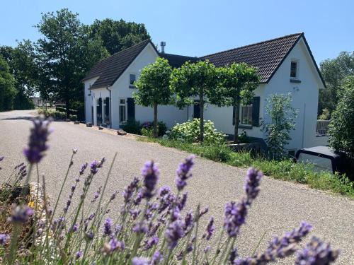 Aalst Bed & Breakfast | Luxury Guest House - Eik aan de dijk