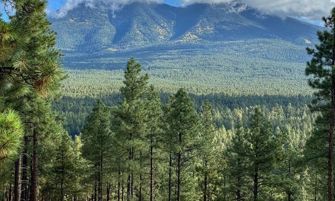 Flagstaff Cabin | Idyllic Log Cabin with Mountain Views and Family Amenities