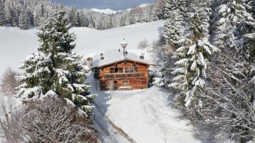Scheffau am Wilden Kaiser Villa | Exquisite Mountain Chalet with Gym, Sauna & Ocean View
