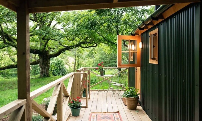 Clachan of Campsie Apartment | Discover Shepherd's Rest: A Cozy Hideaway with Breakfast