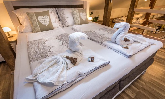 Nove Mesto na Morave Apartment | Elegant NMNM Mezonet Apartment with Spa and Pet-Friendly Perks