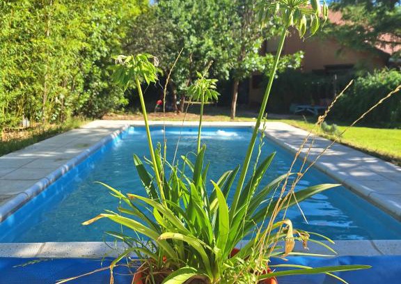 Carpinteria Apartment | Pet-Friendly Luz de Cabaña with Pool & 9/10 Guest Rating