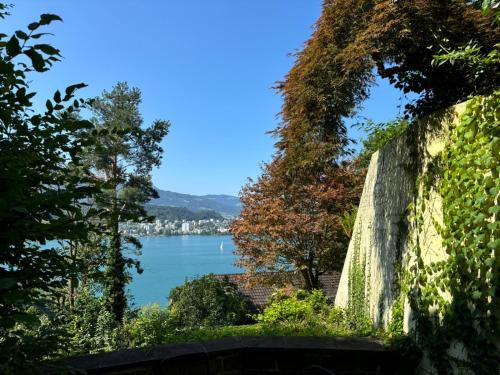 Lucerne Apartment | Luzern See