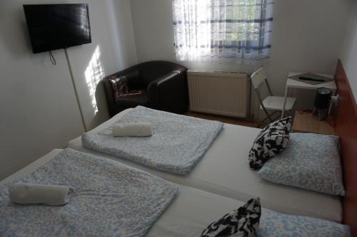 Torony House | Family-Friendly Május 1 Vendégház with Breakfast & Pets Welcome