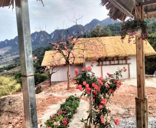Moc Chau House | Cozy Mường Sang Farmstay with Family-Friendly Amenities
