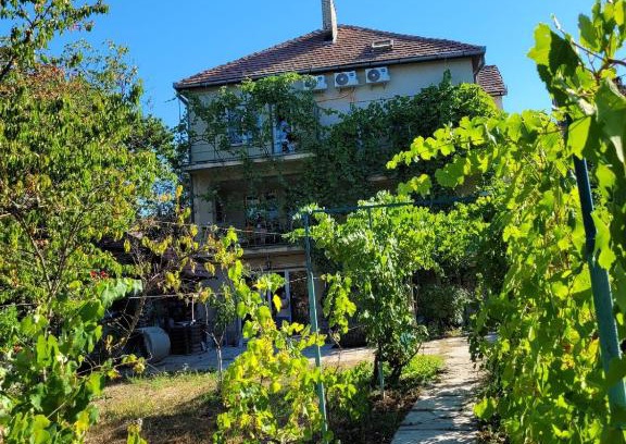Transcarpathia Apartment | Pet-Friendly M&M Apartments with High Guest Rating 9.2