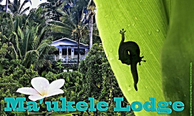 Kalapana Bed & Breakfast | Discover Ma'ukele Lodge: Oceanfront Retreat with Hot Tub