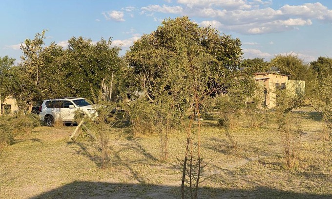Maun Other | Experience Mababe River Campsite with Oceanfront Views