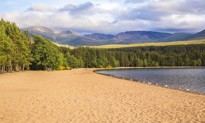 Aviemore Cabin | Tranquil Macdonald Aviemore Woodland Lodges with Spa & Pool