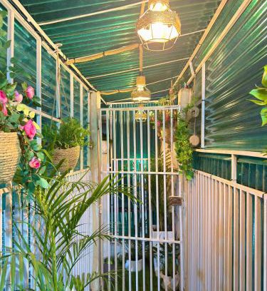 Luanda Apartment | Cozy 1BR Apartment in Maculusso - Pet & Child Friendly