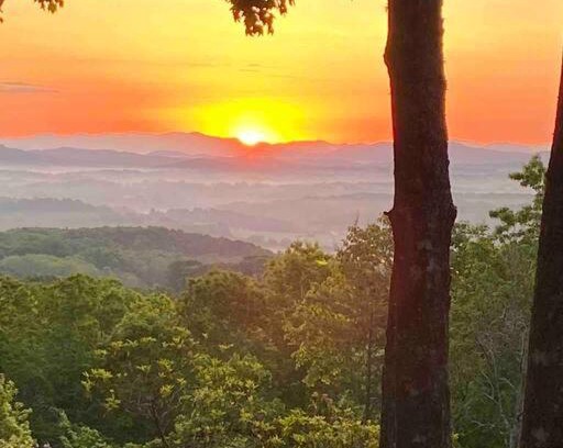 Blue Ridge Apartment | Experience Mae’s Cottage in the Clouds: 4-Star Family Retreat
