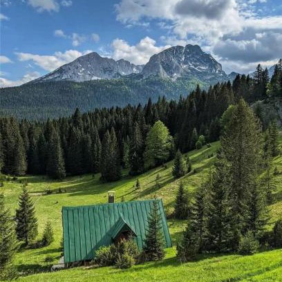 Pitomine House | Exceptional Magic Mountain: Pet-Friendly & Family Ready