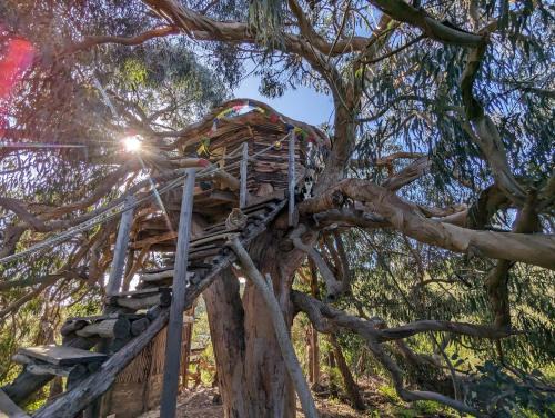 Lagos Other | Enchanting Treehouse Retreat with Family-Friendly Amenities
