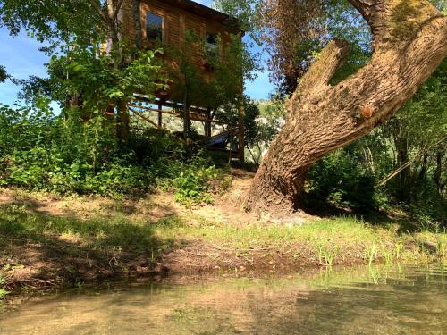 Mostar Other | Enchanting Treehouse with Private Beach and Ocean Views