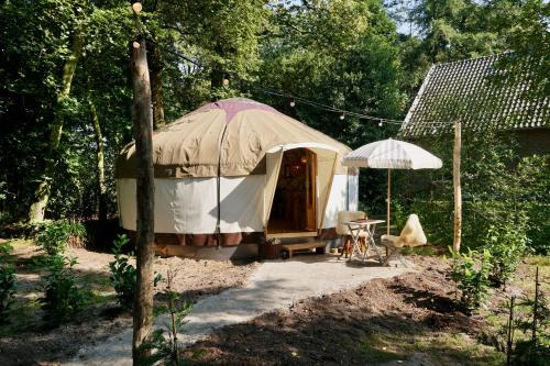 Erp Other | Magical Yurts - Bij de Boswachter