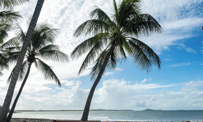 Mackay Regional Resort | Idyllic Garden Retreat at Dolphin Heads for Families