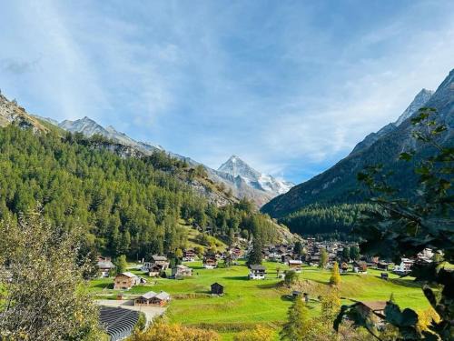 Hauderes Ski Chalet | Cozy Raccard: Pet-Friendly Retreat for Families