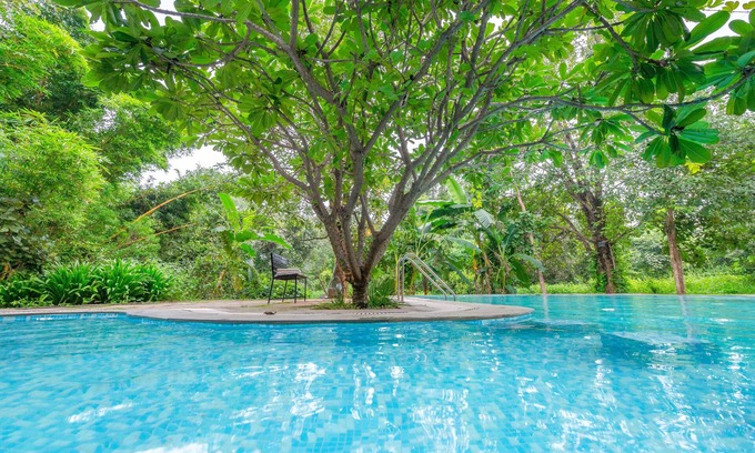Turiya Hotel | Discover Beyond Stay Mahua Vann Pench: Rated 9/10