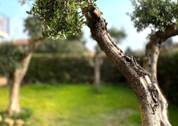 Domegliara House | Delightful Maison D'André: Pet & Child Friendly Retreat