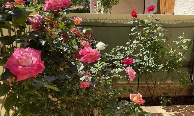 Argeles Plage House | Perfect Getaway: Maison Steps from Beaches with Pool & Kitchen