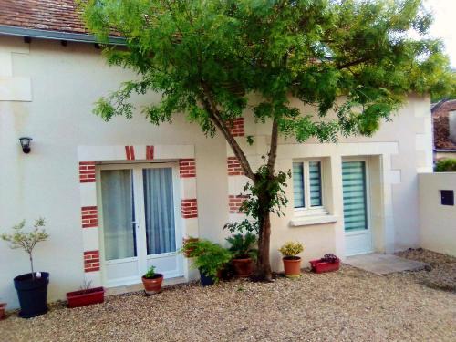 Selles-sur-Cher House | Charming Maison with Garden, WiFi & Pet-Friendly in Selles
