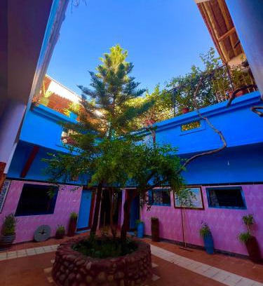 Toudgha El Oulia Hotel | Guest Rated 10/10: Maison d'hôte Riad Todra Awaits You