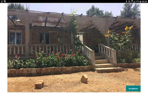Tazroute House | Pet-Friendly Maison d'hôtes "Abou-Hachem" - Rated 9.9/10