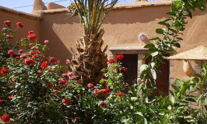 Nekob Bed & Breakfast | Discover Maison D' Hôtes Ait Hmid: Guest Rated 8.8/10