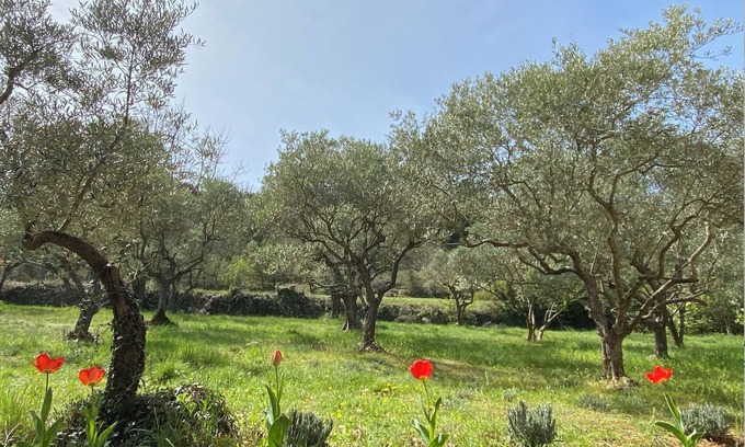 Montmeyan Cabin | Charming Maison de Campagne Near Verdon's Gorges and Lakes