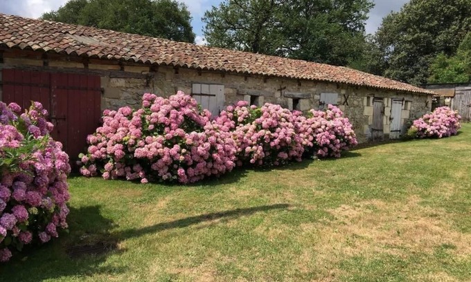 Dienne House | Experience Maison de Campagne - Family-Friendly Retreat