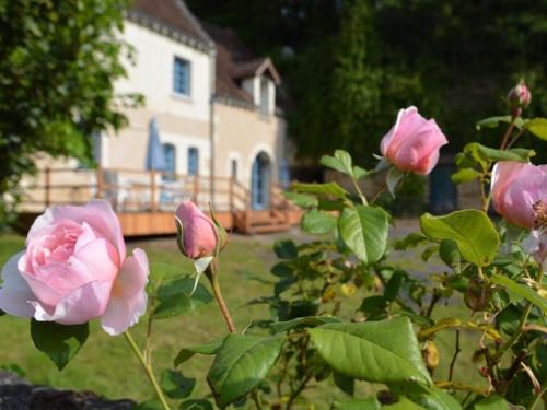Chambourg-sur-Indre House | Family-Friendly Gîte in Chambourg-sur-Indre for 11 Guests
