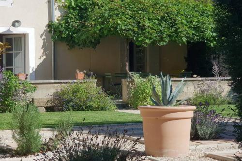 Caderousse House | Cozy Maison de Charme - l'Intimiste: Highly Rated Retreat
