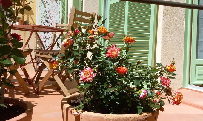 Cros-de-Cagnes House | Discover Maison de Pêcheurs: Family & Pet-Friendly Retreat