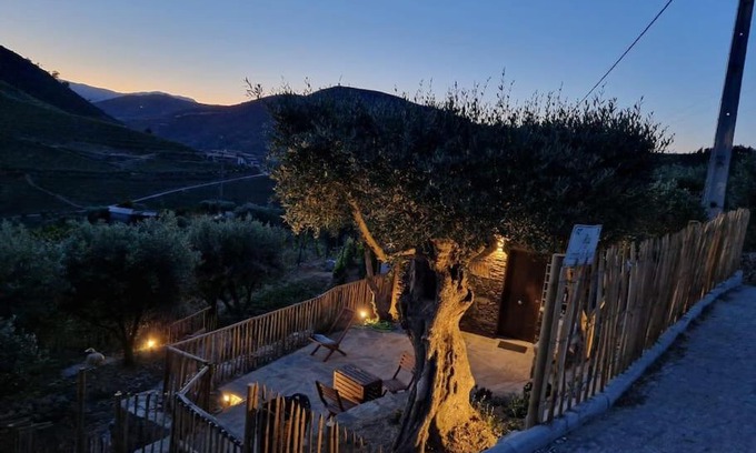 Armamar House | Oceanfront Oasis: Maison du Olival with Pool & Kids’ Fun